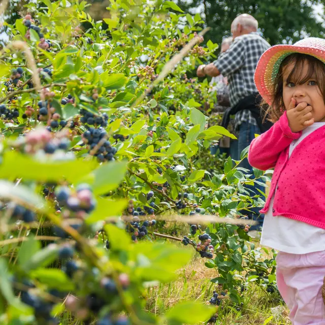 Ferme des Bleuets_Vaas