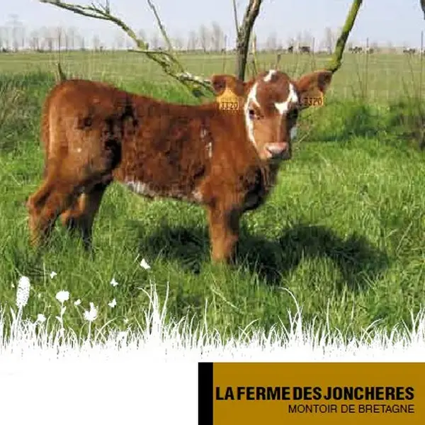 ferme-des-joncheres-affiche-samedi-fermier-2015-1215804