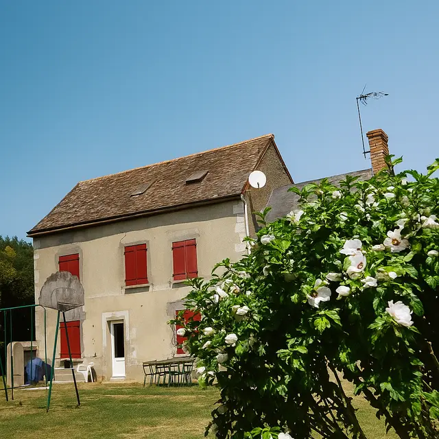 file_00000000478c6246ba1af7d9fde9cc29