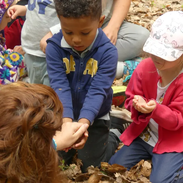 forêt des tout petits (5)bis
