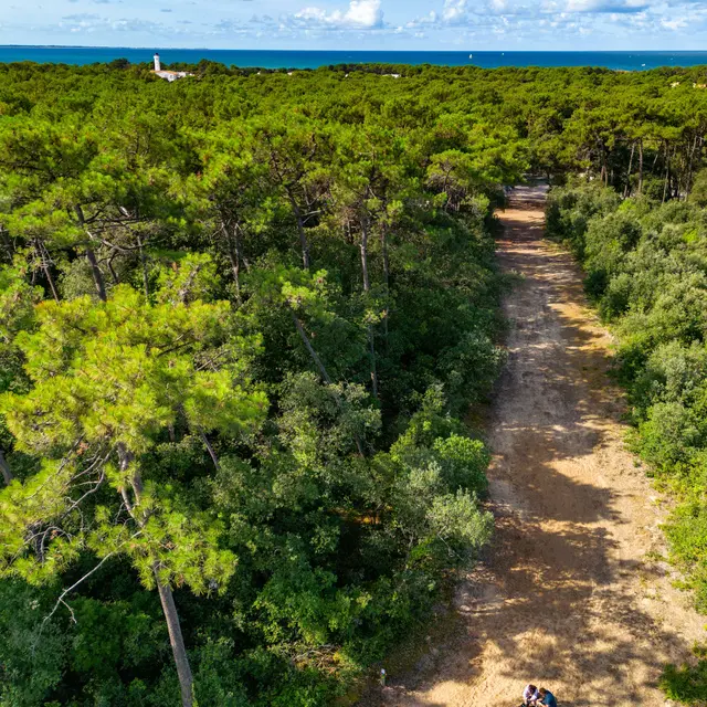 foret_domaniale_la_tranche_sur_mer_04