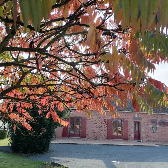 gîte à l'automne