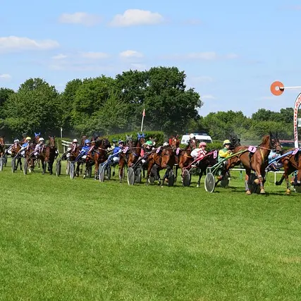 juliendavid-horse-4204860_640