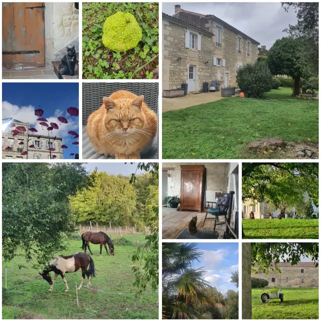 la propriété - gite le jardin des bosquets 85 auchay-sur-vendée