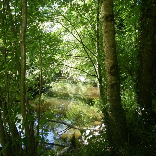 la-sangueze-le-pallet-44-PNA (1)