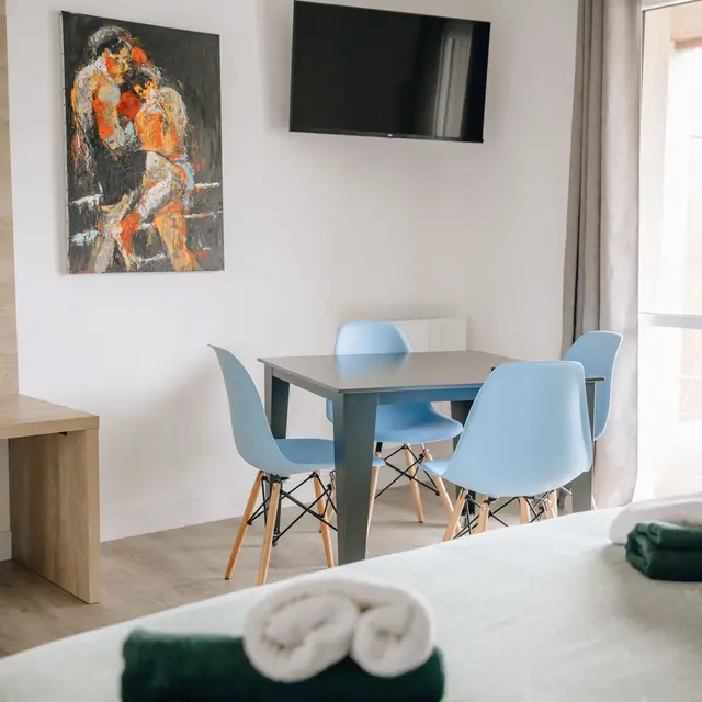 meublé- Comte de Jaffran-village-de-gite-le-hameau-vouvant-85120 (15)