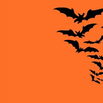 mih83-halloween-3743243_640