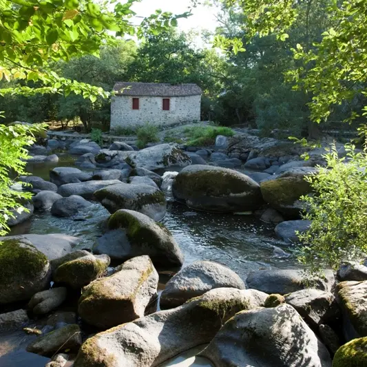 moulin-a-foulon-cugand-85-cpu-1