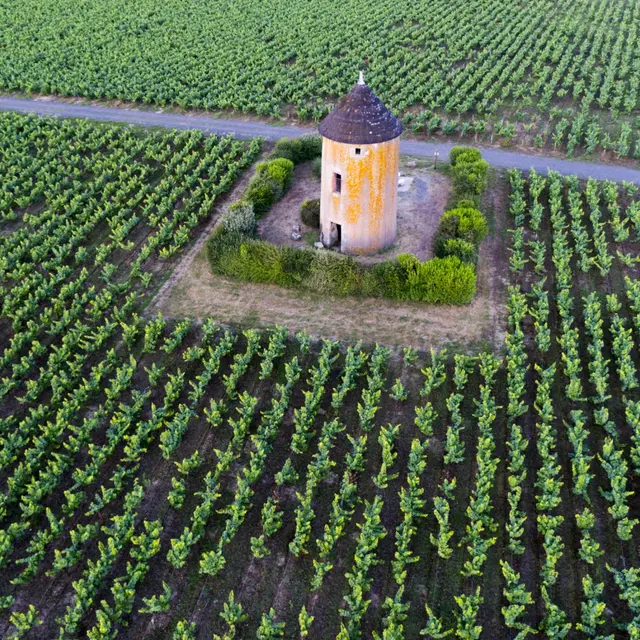 le moulin de la miniere