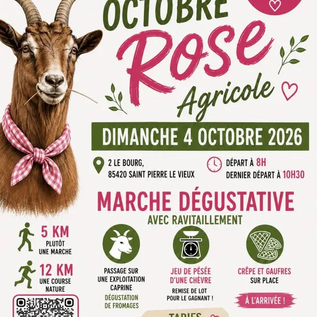 octobre rose