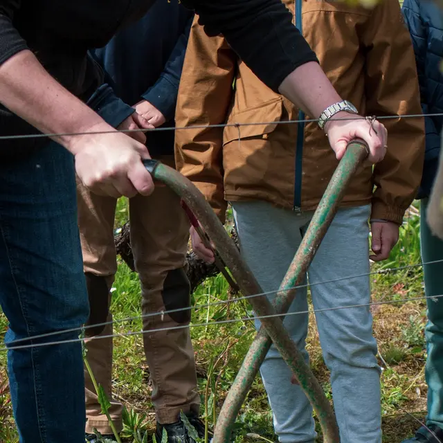 parcours touche a tout