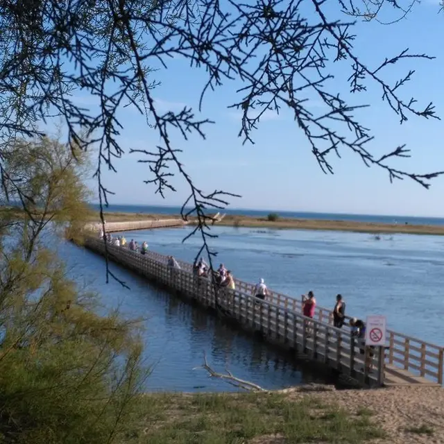 passerelle grande marées