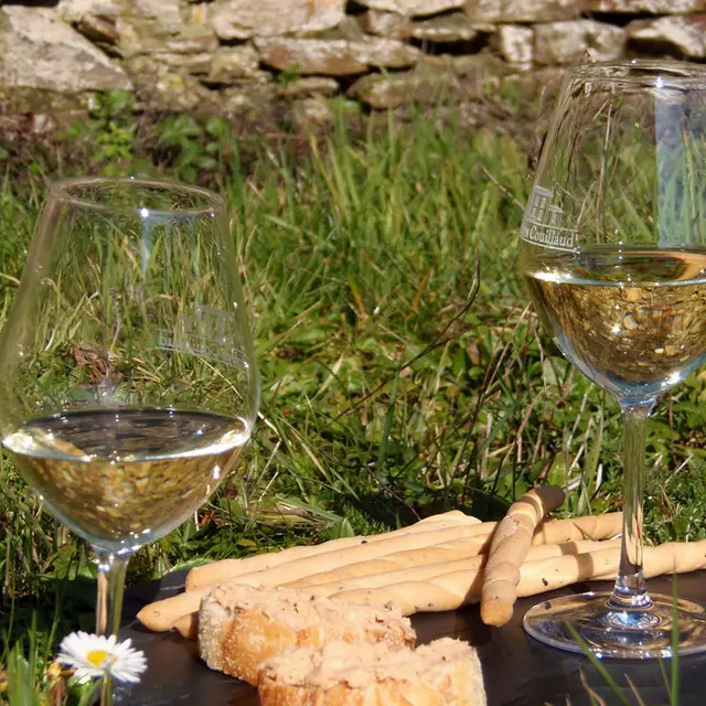 piqueniquelesfrerescouillaud-2024-levignobledenantes-tourisme