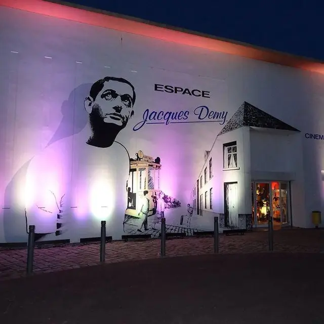 projection debat cinema jacques demy divatte sur loire