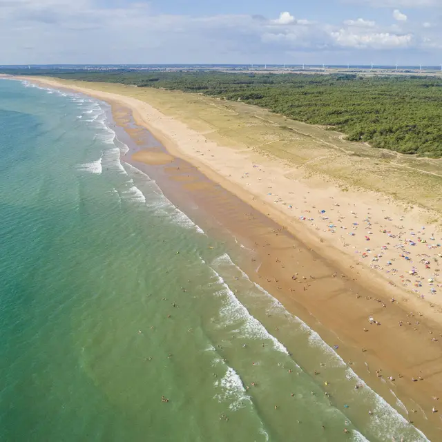 plage-terriere2