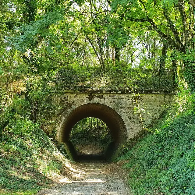 randonnée-crochet-pissotte-vendee-85-1