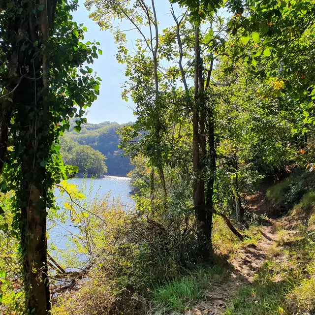 randonnée-la-fontaine-à-l-ermite-l-orbrie-foret-mervent-85200-1