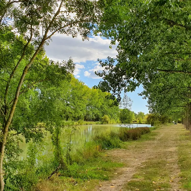 randonnée-le-marais-le-langon-fontenay-vendee-85370-1