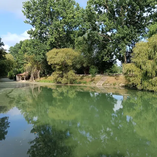 randonnee-pedestre-les-nattes-azire-benet-vendee-marais-poitevin-85- (1)