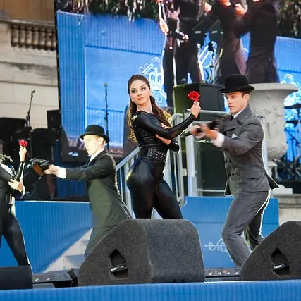 ronporter-show-522602_640