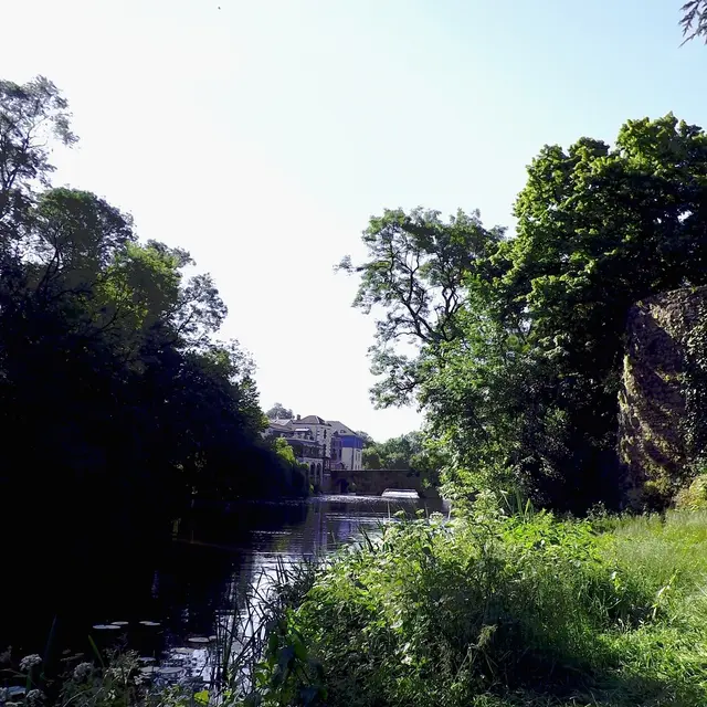 ruelle de cuchaud clisson