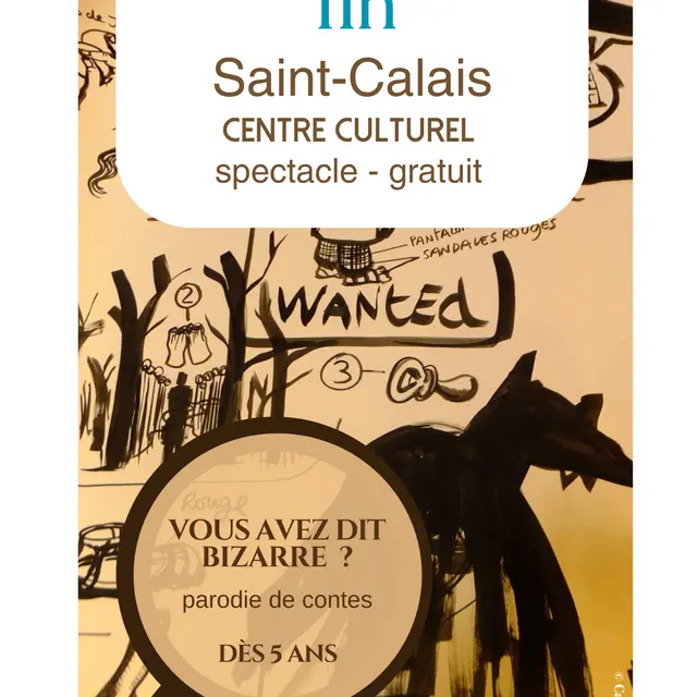 Affiche Spectacle Vous avez dit bizarre ? - Saint-Calais