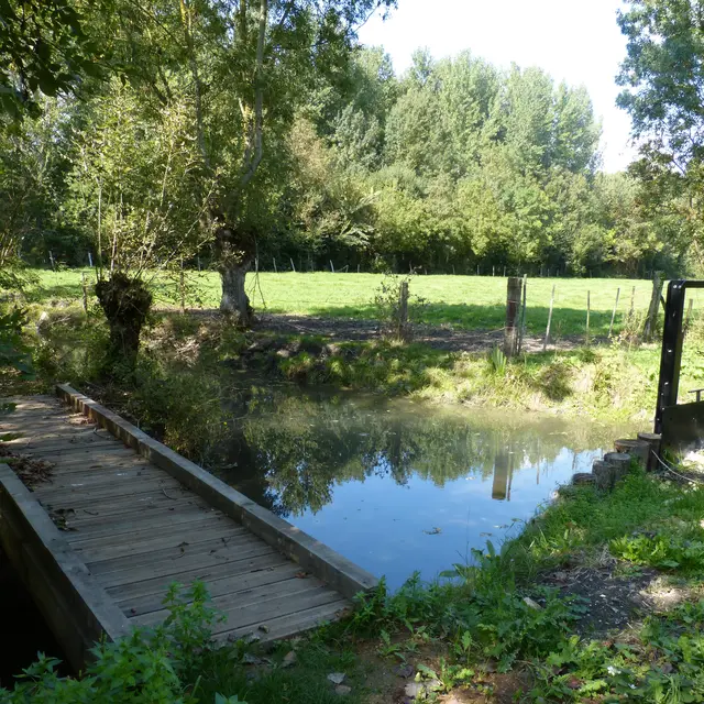 sentier de Bouillé Courdault