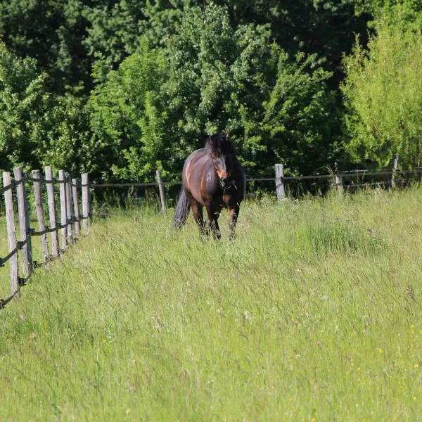 sevenpassion-c560728dd53bec65b6b9a7b48ebe65b2