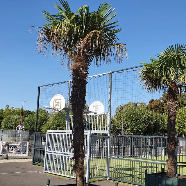 skate-park-city-stade-fontenay-le-comte-85200-1