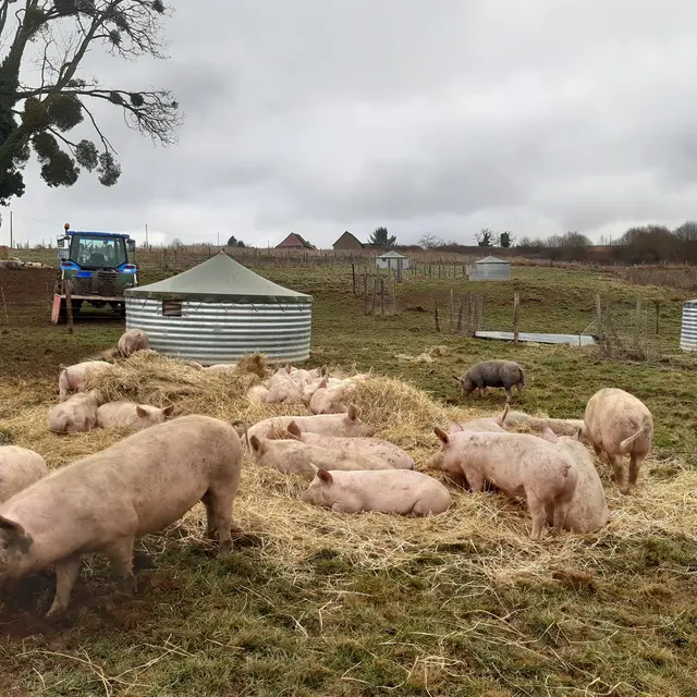 Ferme Au pré de mon arbre - Saint-Priest-Ligoure