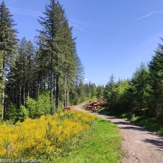 cricuit du mont de Nedde.jpg_1