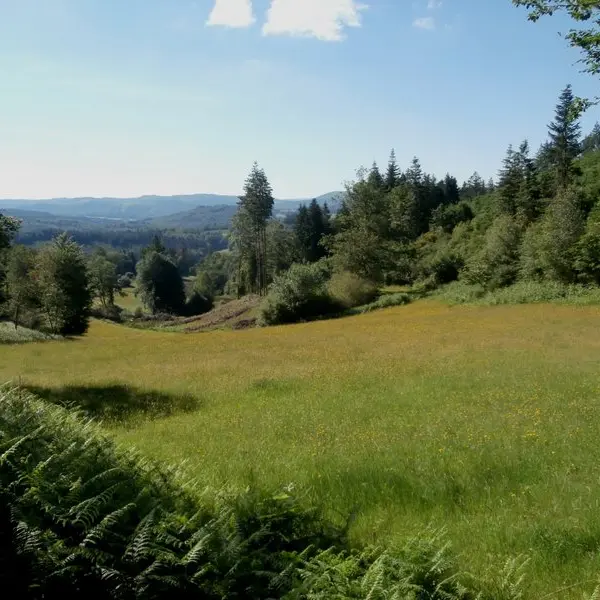 nedde-balcon-de-guimont.jpeg_1