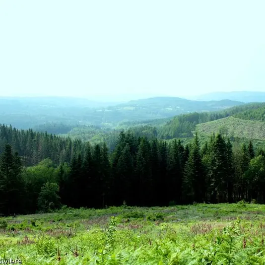 Les Trois Croix.jpg_1