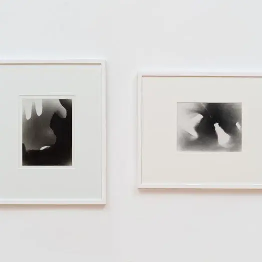 Le musée de Rochechouart - Une collection qui questionne la photographie