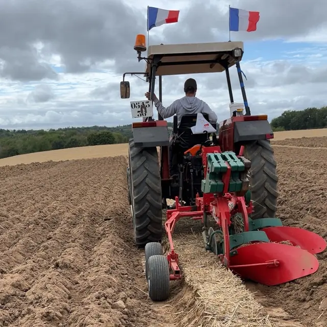 Concours de belote