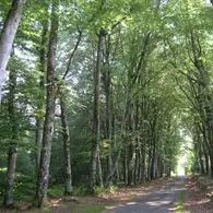 chemin de l'âme de l'âne au rio negro à la Geneytouse_1