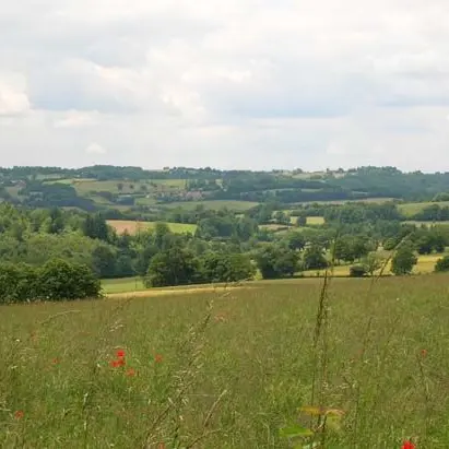 Circuit du Puy de Grammont à Saint-Méard 1_1