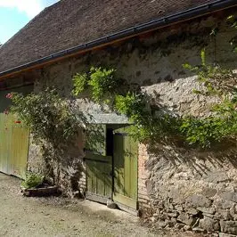 Circuit la randonnade de Cognac-la-Forêt_1