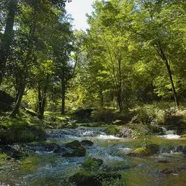 Circuit du château de Lavauguyon à Maisonnais sur Tardoire_1