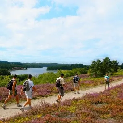 circuit le tour de Saint-Pardoux_1