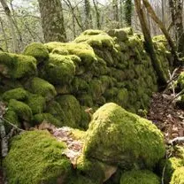 Circuit lo charbé à cognac la foret_1