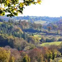 Sentier de l'étang des landes à Saint-Paul_1