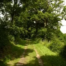 Sentier de mon dilu_1