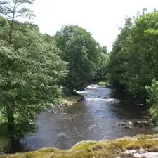 circuit les narcisses_1