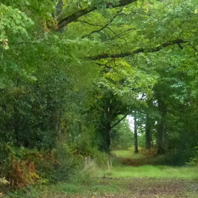 Chemin de Bonnefond_1