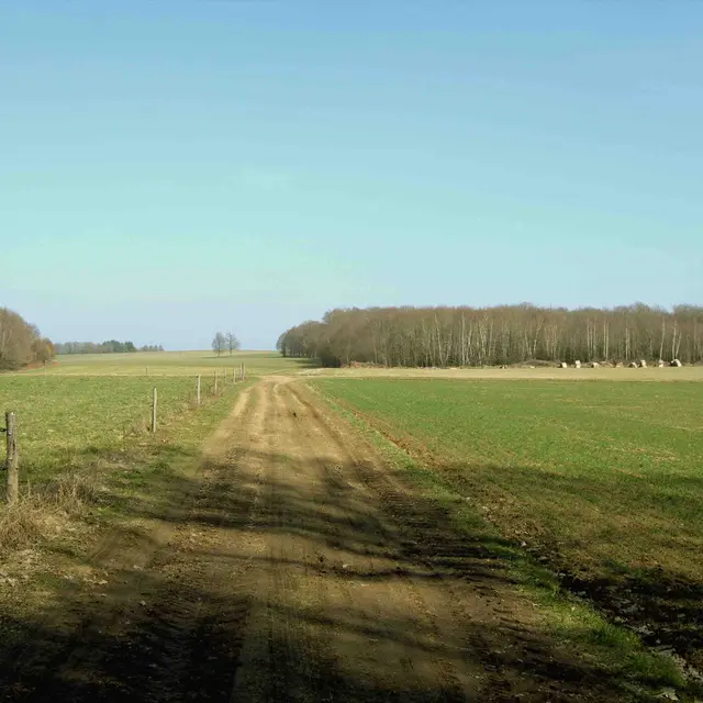 Sentier Puy du Thé - piste 4_1
