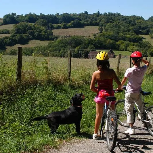 Randonnée des vieux chênes_1