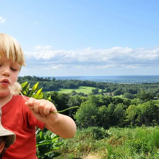 Chemin des Hêtres_1