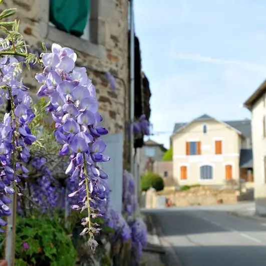 Chemin de Soumagnas_1