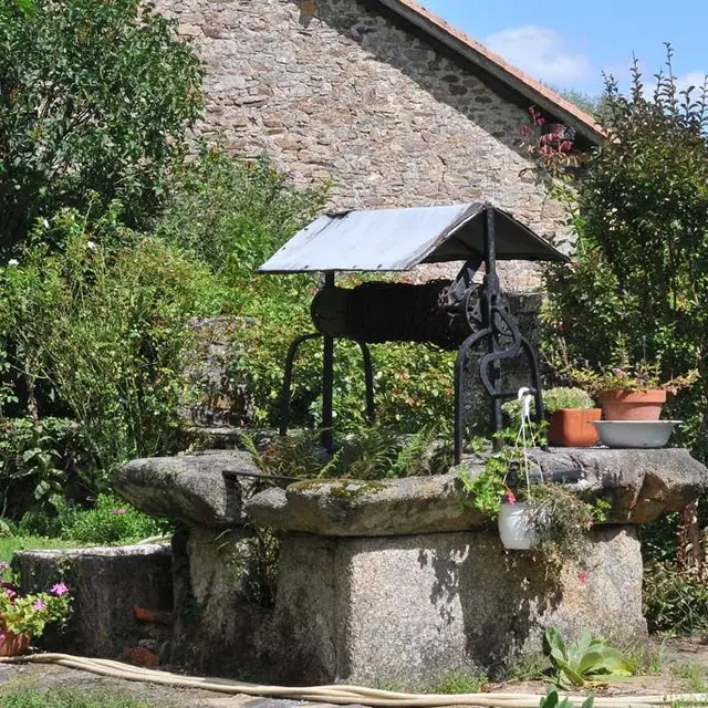 Les trois forêts : les sentiers de Burgou_1